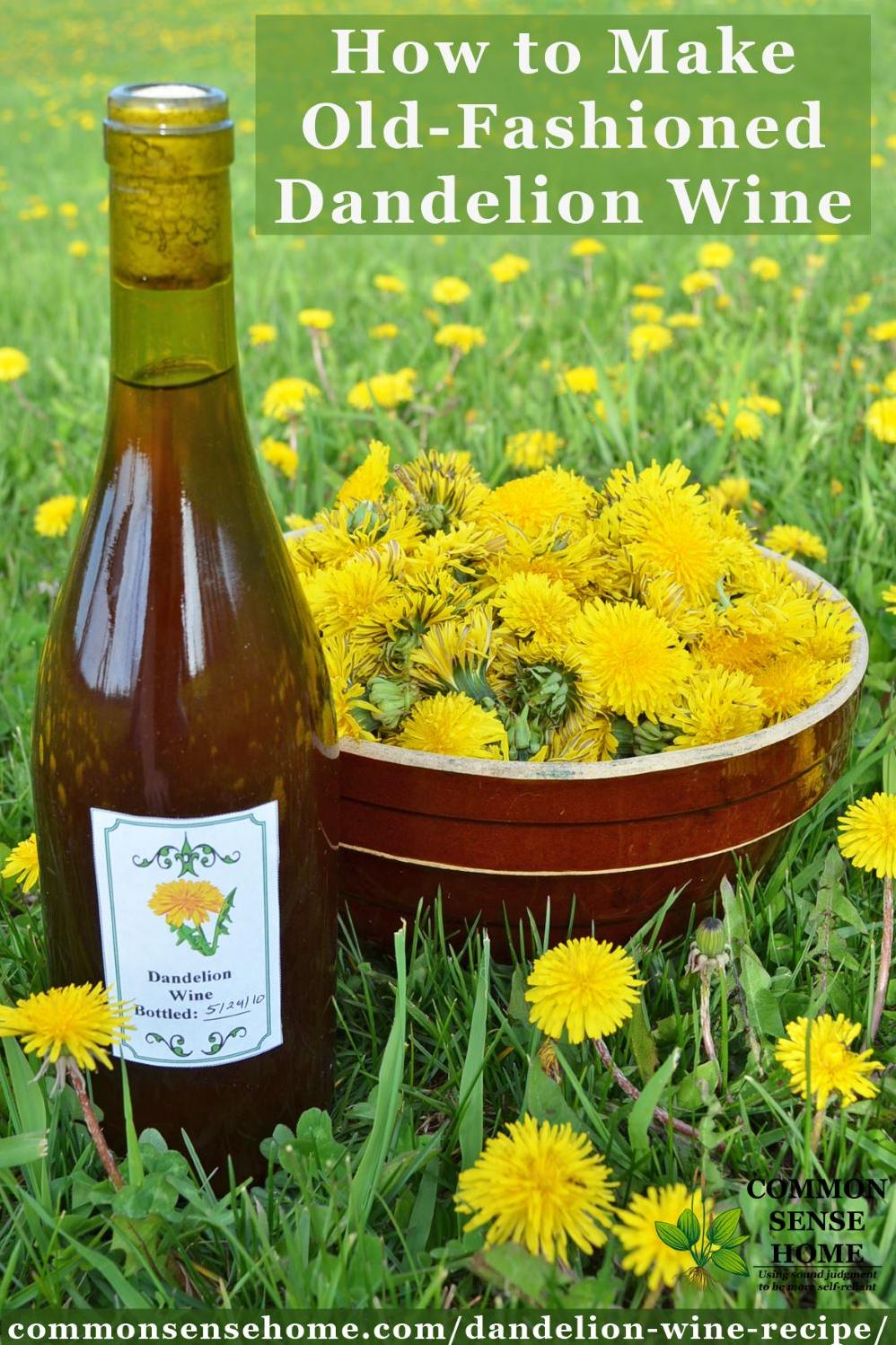 Delicious Dandelion Flower Wine Recipe – Step-by-Step Guide
