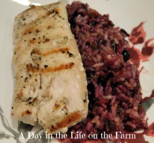 Grilled Mahi Mahi W/Wild Rice and Creamy Red Wine Sauce