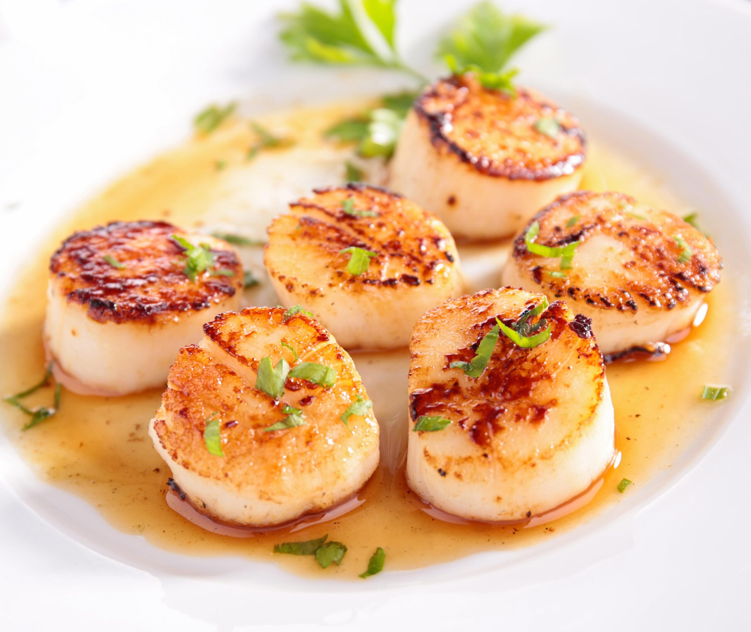  Just the thought of these tender scallops in a savory wine sauce could make your stomach grumble.
