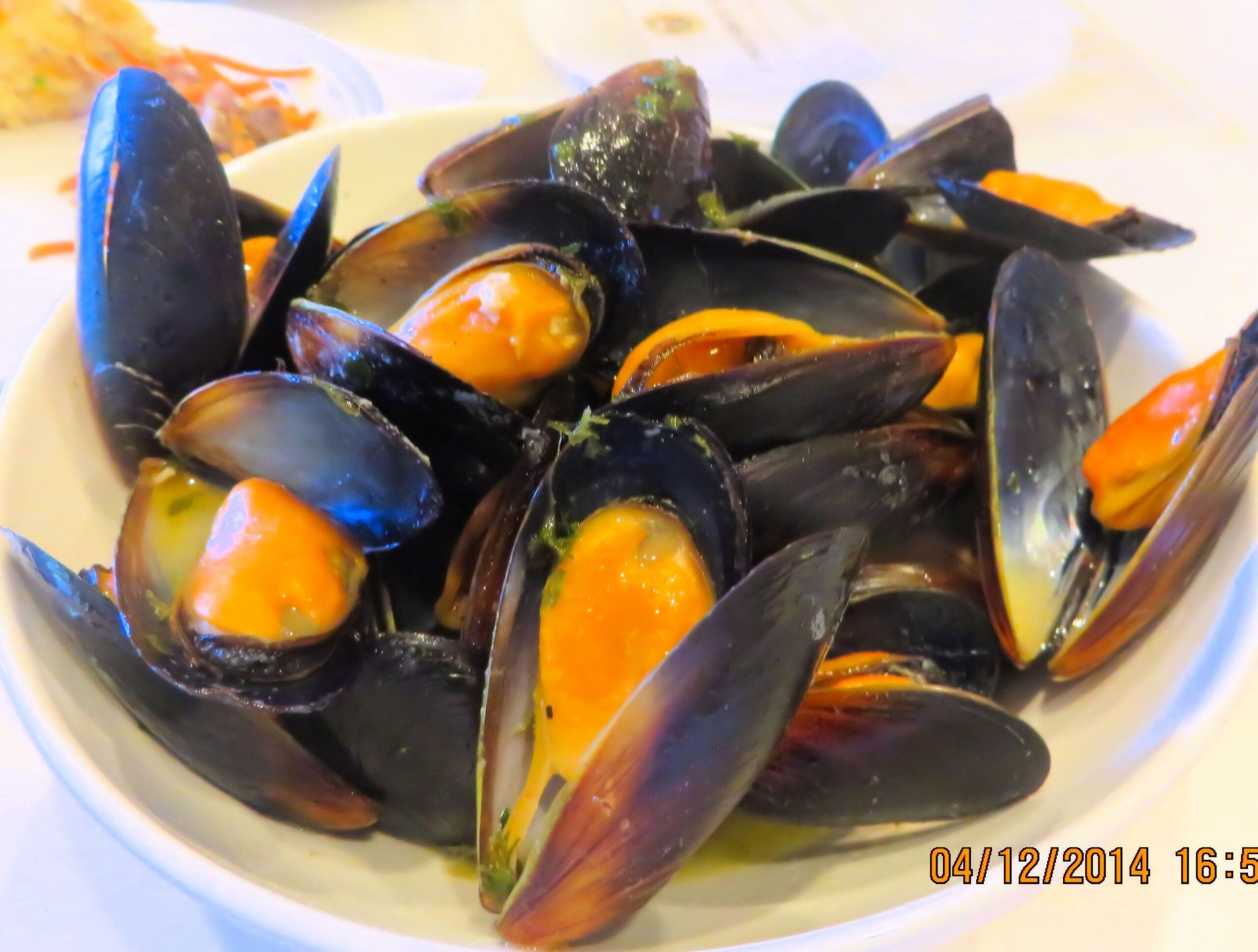 Delicious Mussels in White Wine Recipe – Easy & Quick