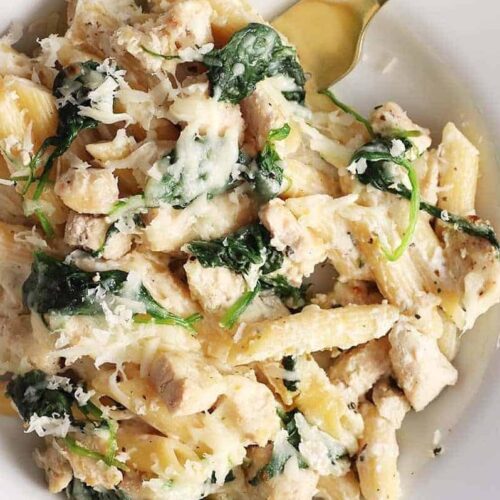 Spinach & Asiago Cheese Wine Sauce over Rice