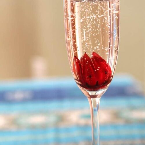 Wild Hibiscus Champagne Cocktail